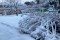 Dopo il Carnevale torna la neve a rendere tutto magico e incantato!